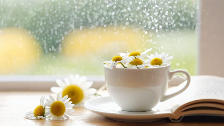 4k life tea wallpaper scaled