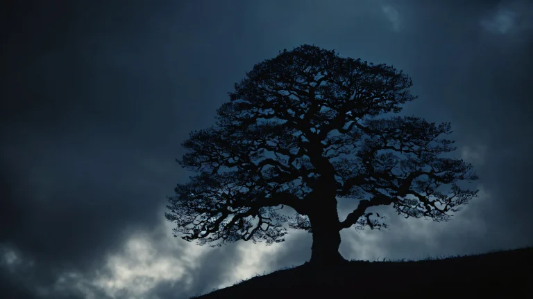 A majestic tree's silhouette against a cloudy sky with intricate details and creamy bokeh.