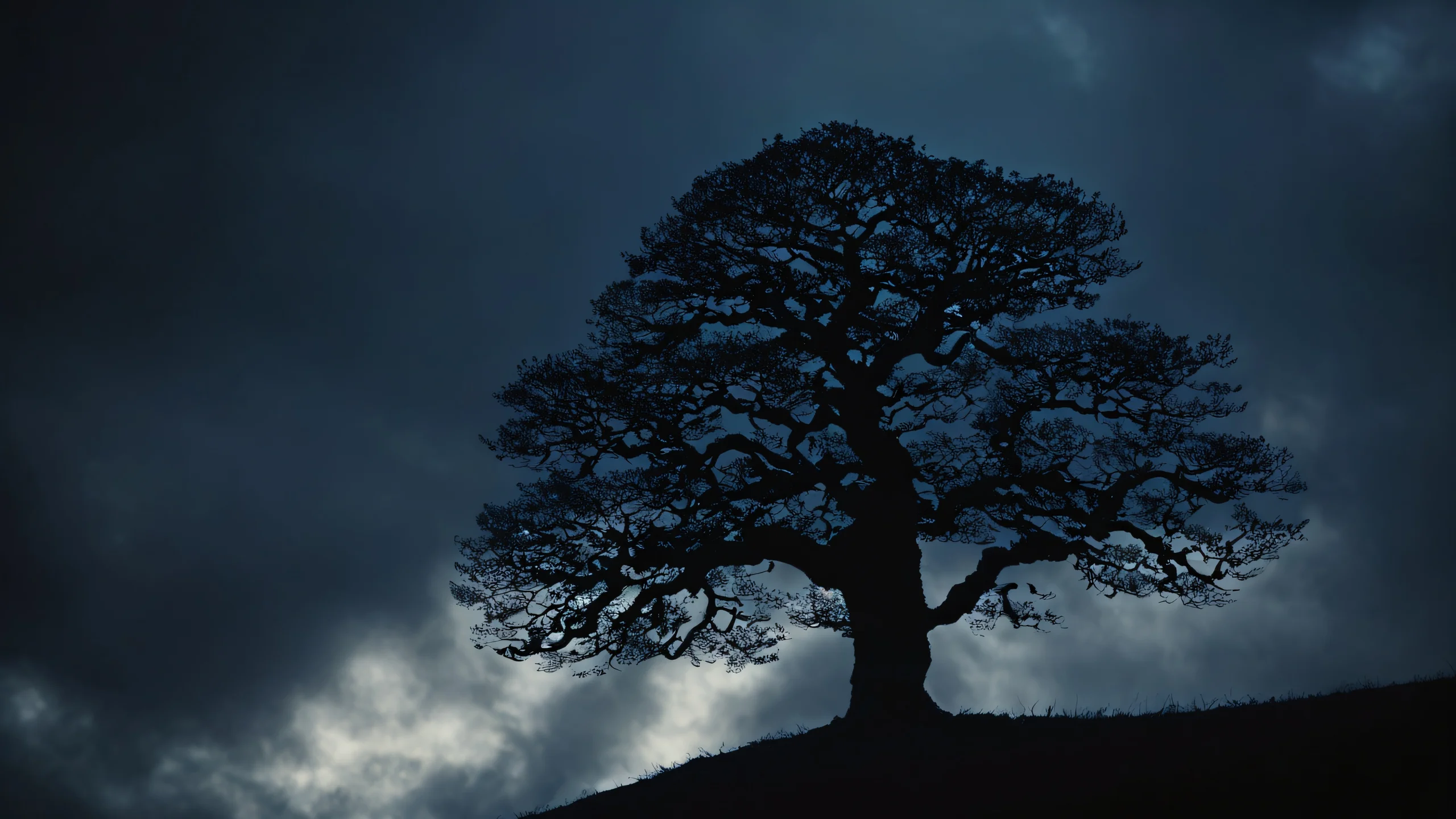 Aesthetic Cloudy Twilight Silhouette Background A majestic tree's silhouette against a cloudy sky with intricate details and creamy bokeh.