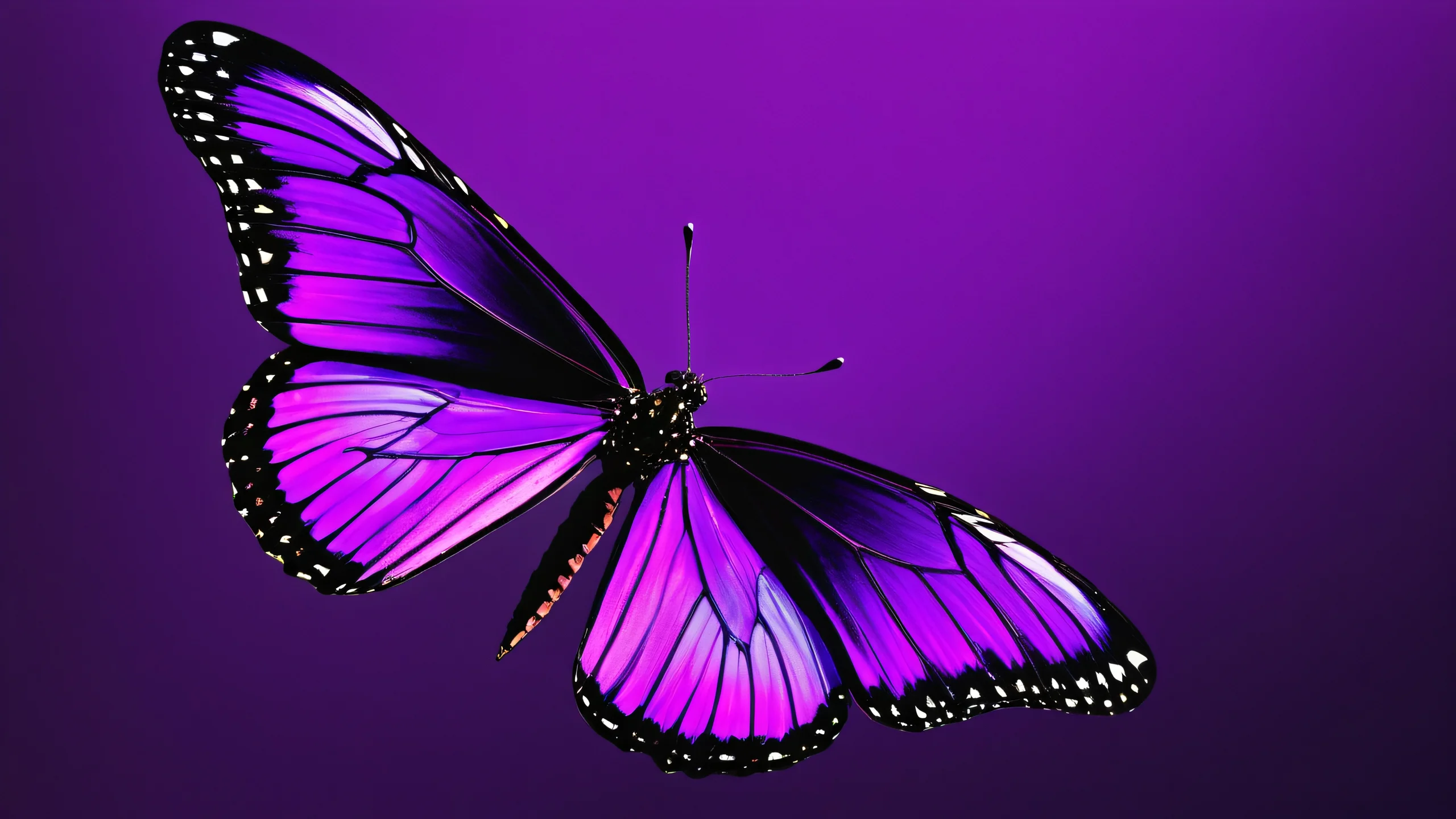 Ultra HD Dark Purple Metamorphosis Wallpaper A dark and purple abstract metamorphosis artwork with negative space elements.