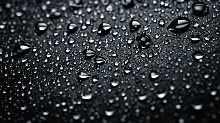 A serene desktop wallpaper featuring leaves and water drops on a deep pure void with extreme depth of field, highlighting the texture and dimensionality of the subject. Suitable for Desktop/PC.