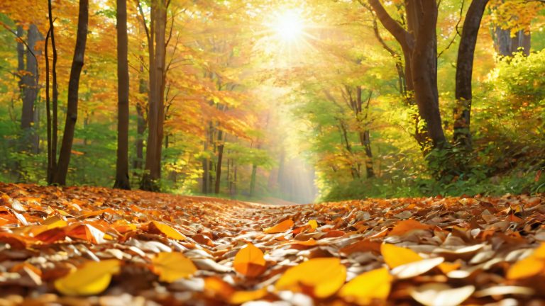 forest cathedral path scaled