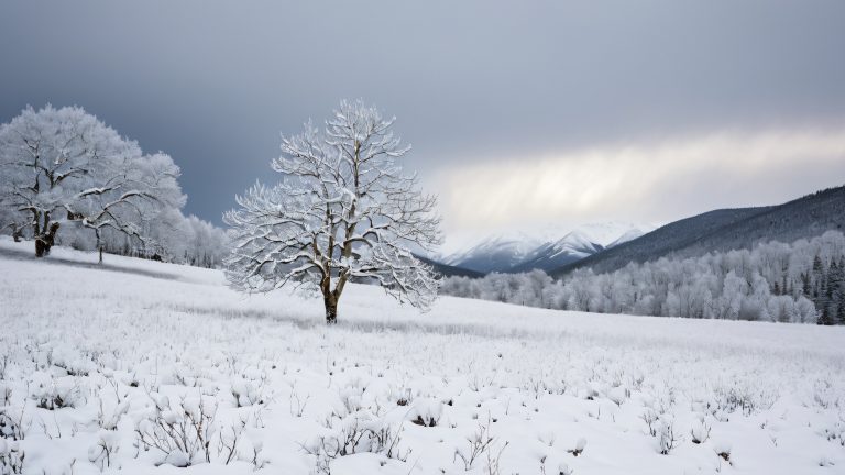 ivory aspen winter meadow scaled