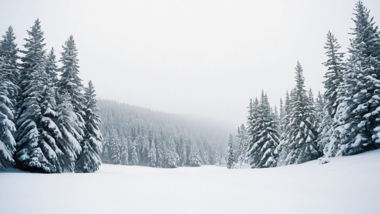 serene snowy forest wallpaper scaled