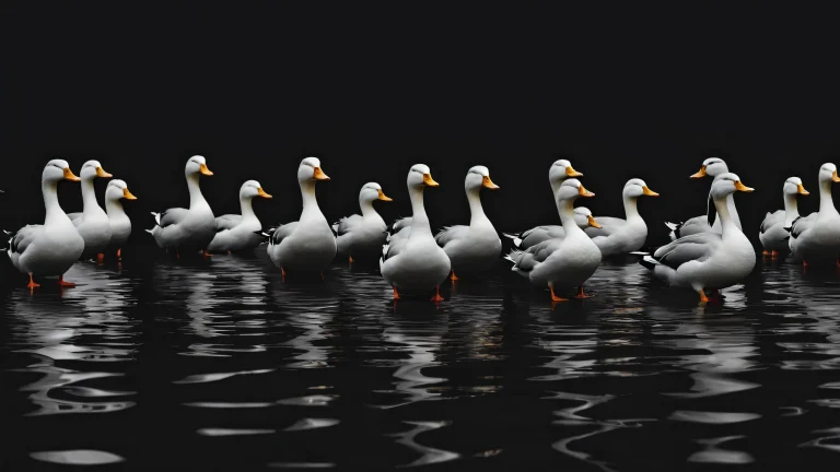 A group of ducks standing in front of a vast pure void with extreme depth of field on a desktop/pc.