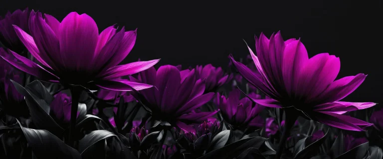 A stunning flower and void landscape on a dark mode desktop for PC or computer