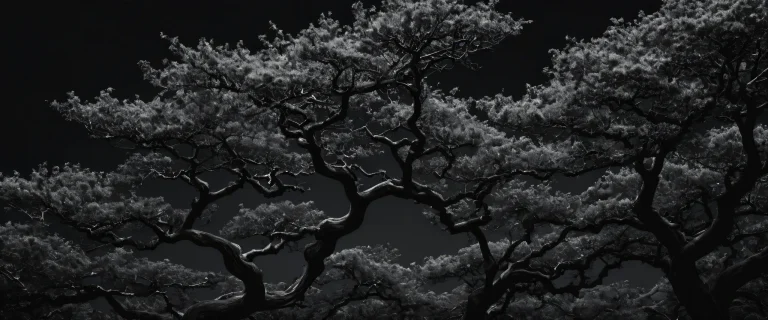 Breathtaking desktop wallpaper of a vast forest on a perfectly clean void, suitable for Desktop/PC