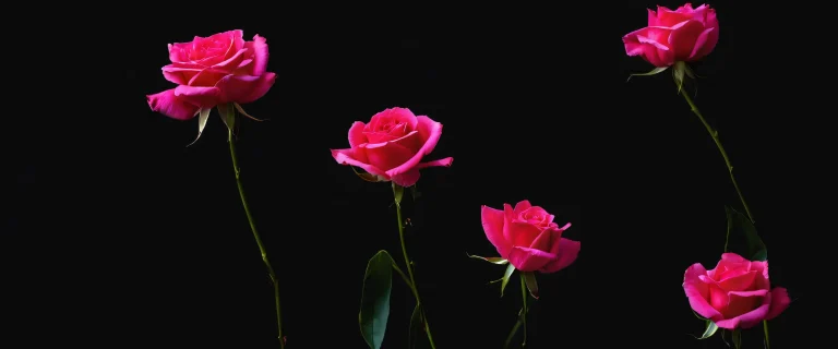 A sleek and modern desktop wallpaper featuring a vast pure void with subtle texture, デスクトップ/PCに最適.