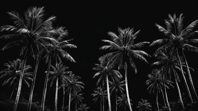 Breathtaking desktop wallpaper of palm trees on a pristine dark mode background for Desktop/PC.