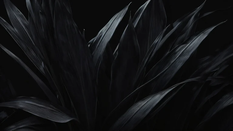 A stunning desktop wallpaper featuring a vast pure void with perfect depth of field and sleek dark mode aesthetic, adapté pour ordinateur de bureau/PC.