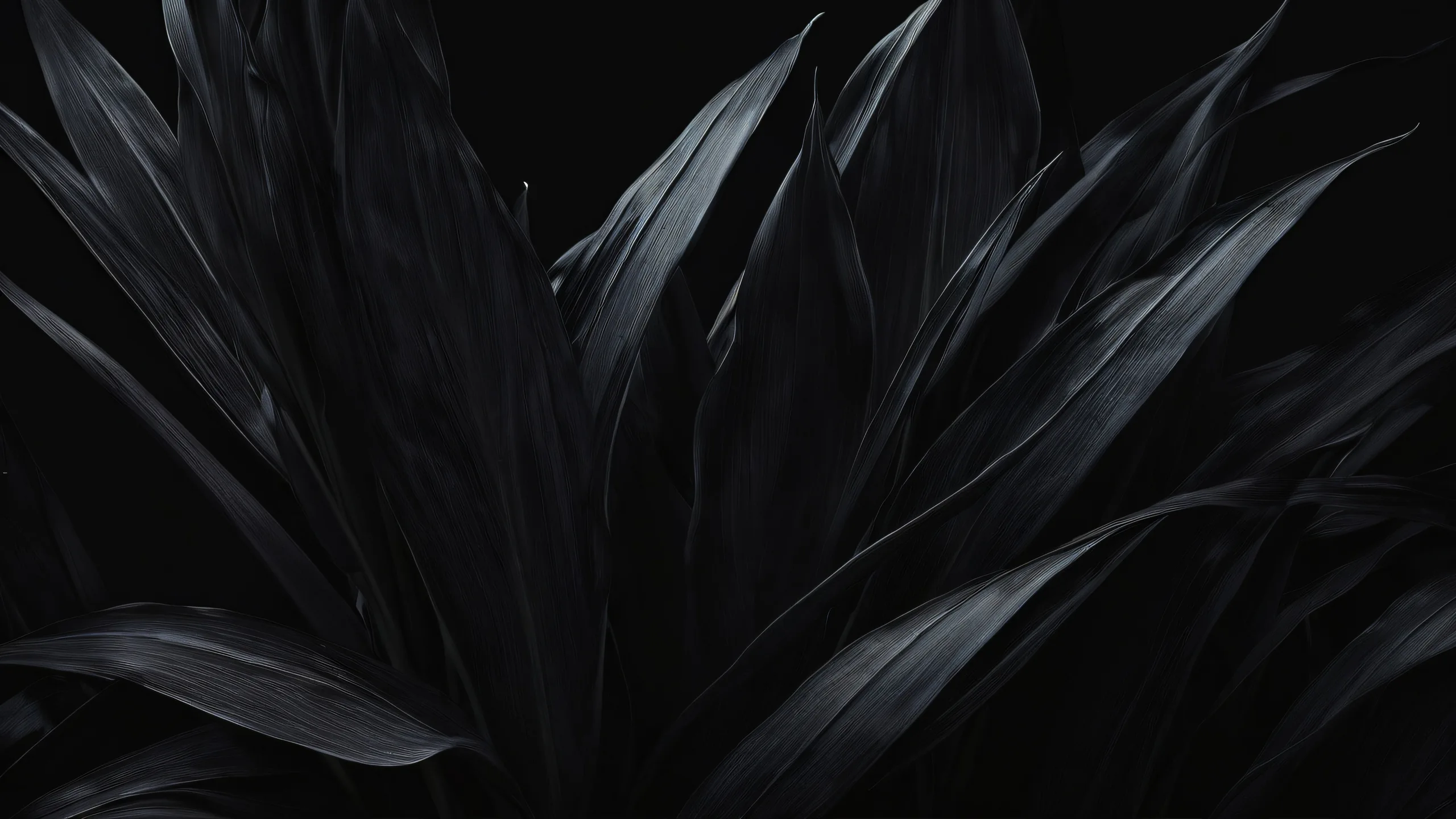 A stunning desktop wallpaper featuring a vast pure void with perfect depth of field and sleek dark mode aesthetic, suitable for Desktop/PC.