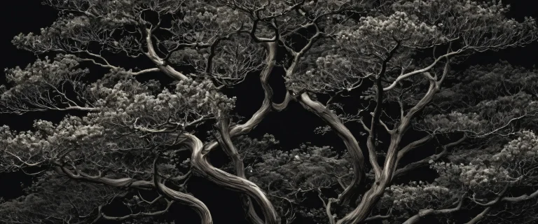 A serene desktop scene featuring majestic trees against a deep, dark background on a Desktop/PC.